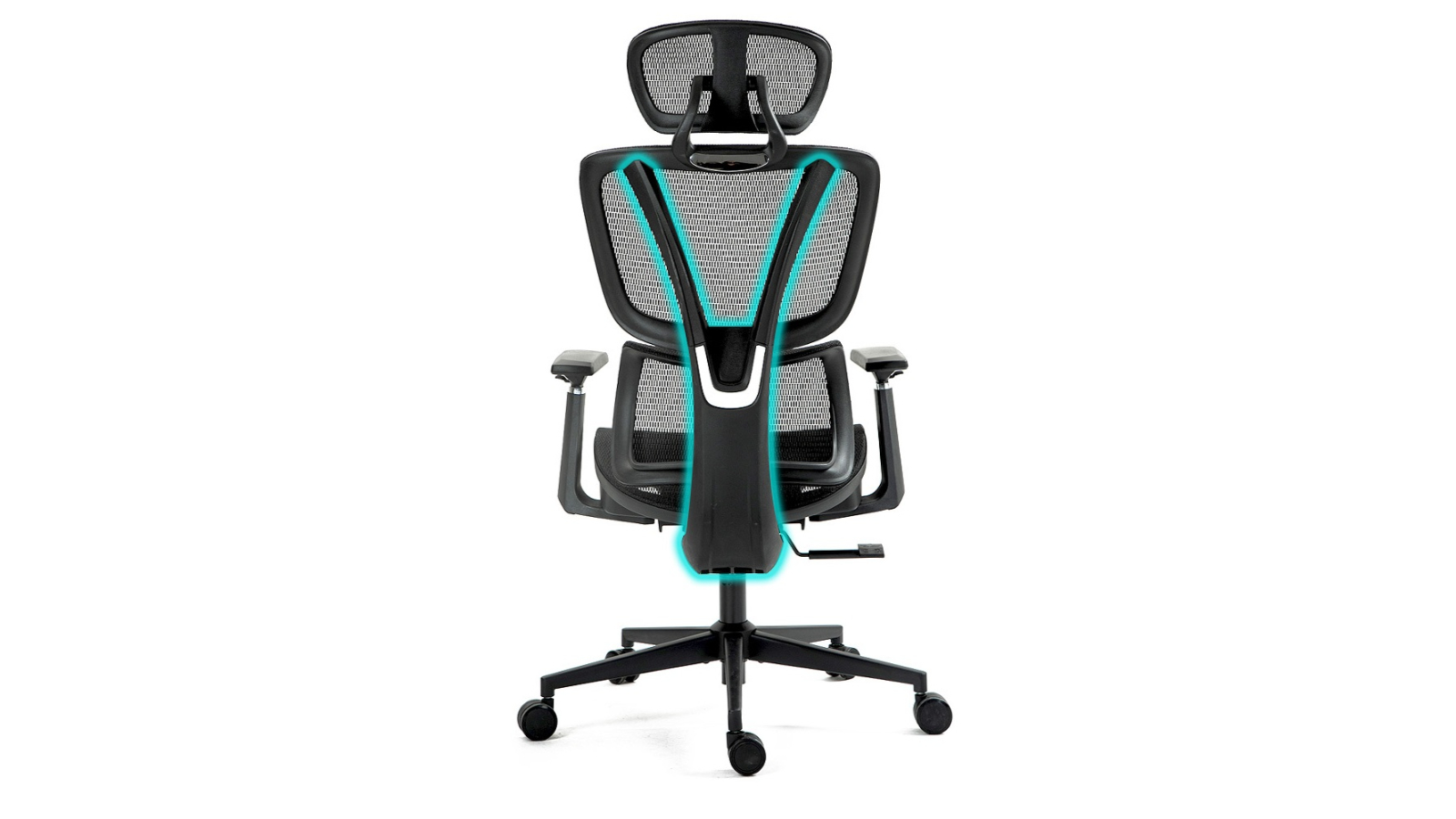Fortia Ergonomic Office Desk Chair