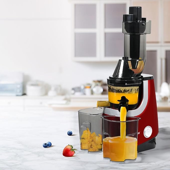 Spector Cold Press Slow Juicer Whole Fruit Juice Extractor Vegetable Processor