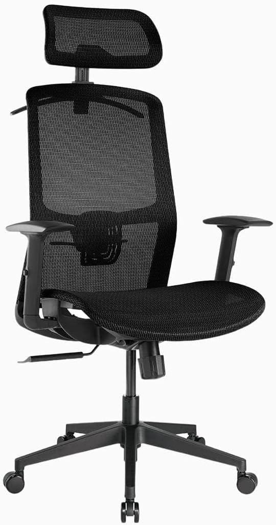 Desky Adjustable High Back Mesh Chair - AfterPay & zipPay Available