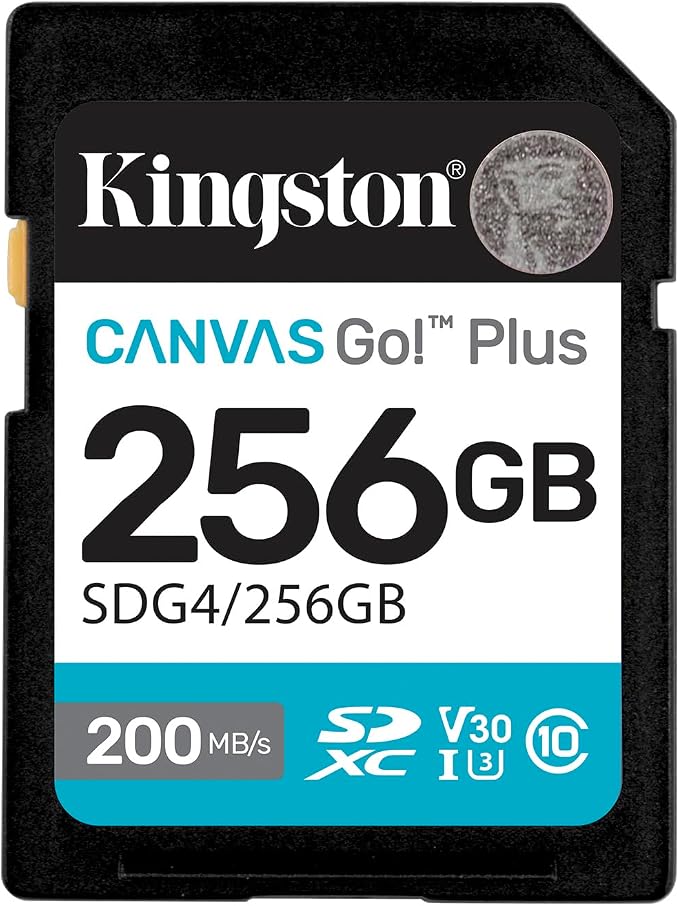 Kingston 256GB Canvas Go Plus UHS-I Class 10 Memory Card