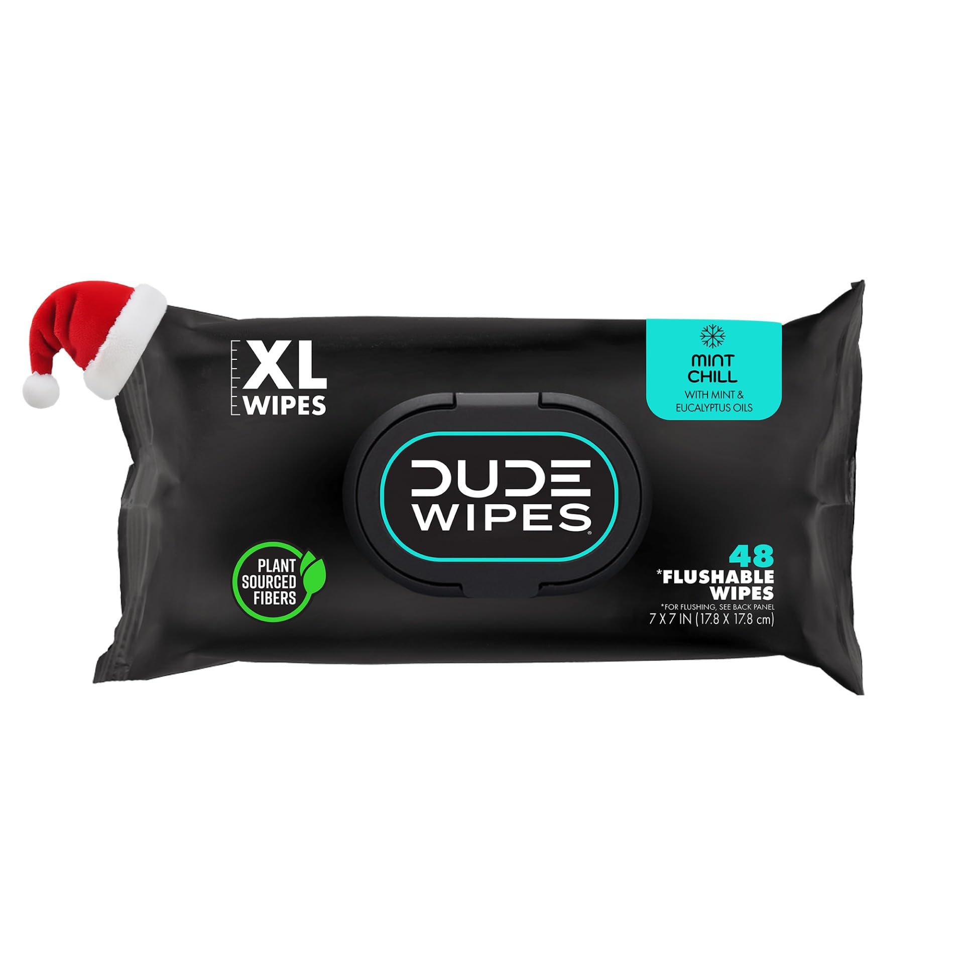 Dude Products Wipes Flushable Wet Wipes Dispenser, Mint Chill, 48count - Scented Wet Wipes with Vitamin-E, Aloe, Eucalyptus & Tea Tree Oils for