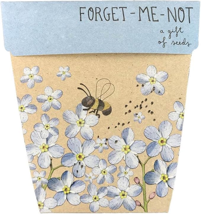 Sow 'n Sow Forget Me Not Gift of Seeds