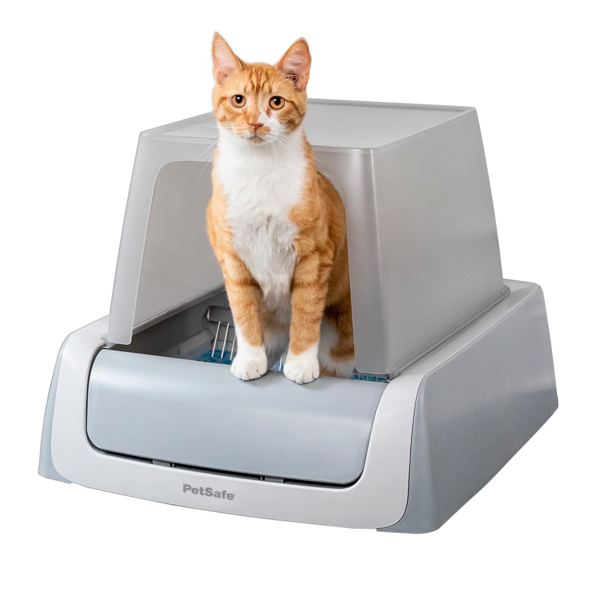 PetSafe ScoopFree Complete Plus Self-cleaning Cat Litter Box with Front-Entry Hood - Never Scoop Litter Again - Hands-free with Included Disposable