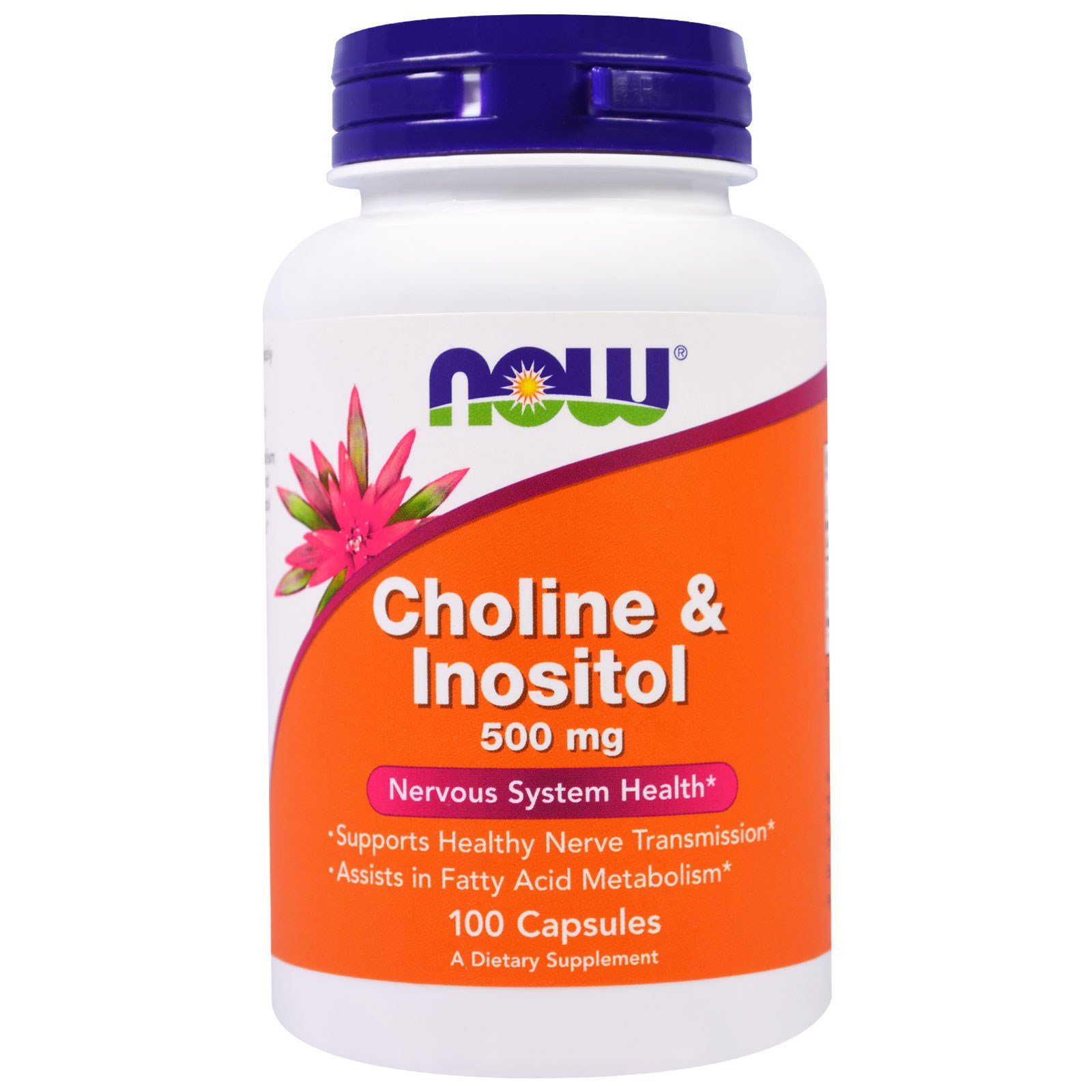 Now Foods Choline & Inositol 500 MG - 100 Capsules