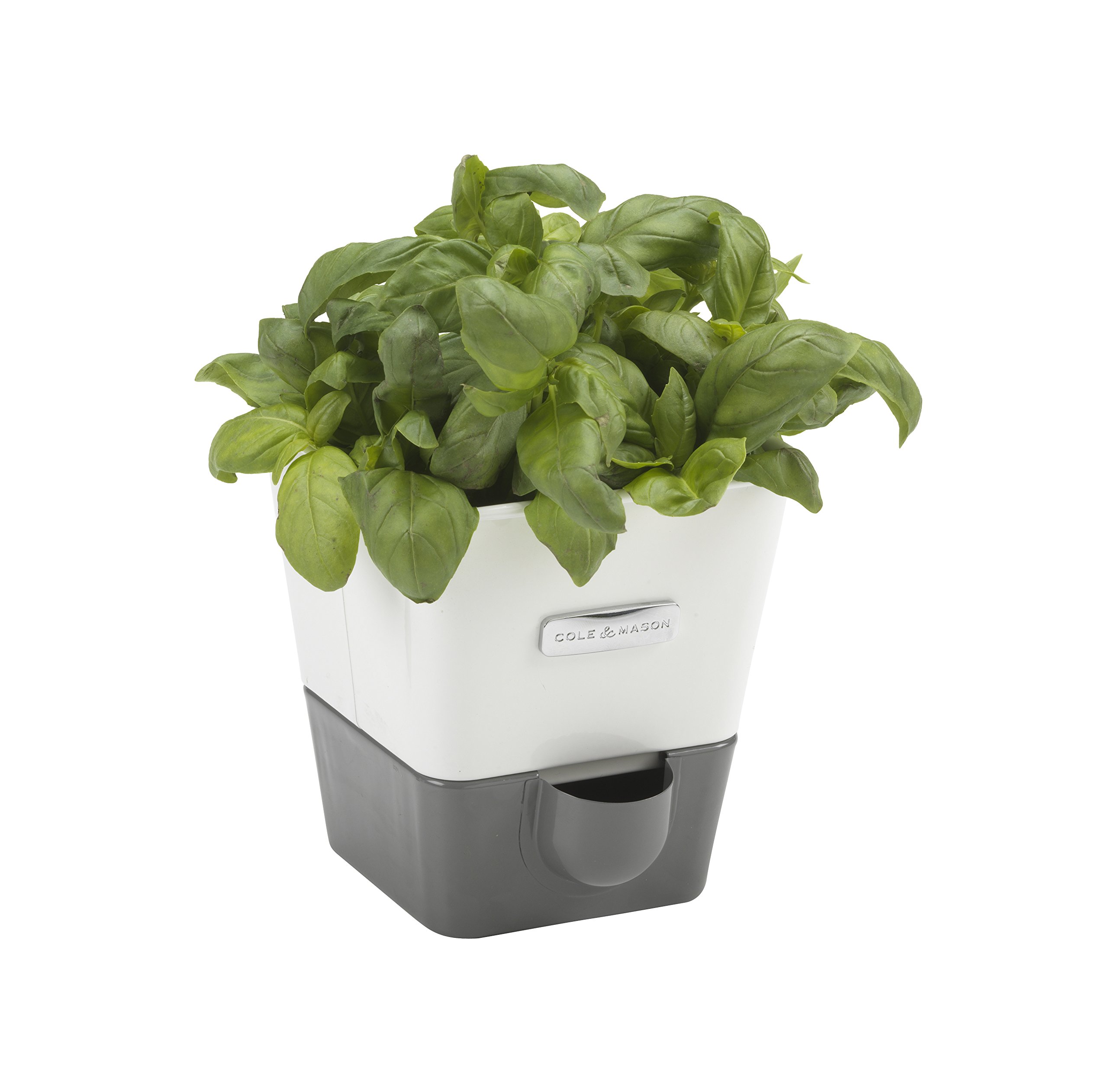 Cole & Mason - Self Watering Herb Keeper - Single
