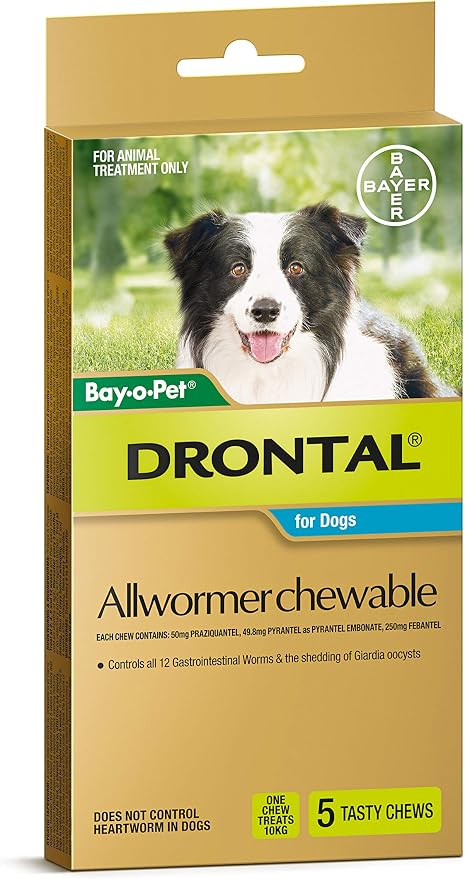 Drontal Allwormer Tablets for Medium Dogs 10 kg 100 Packs