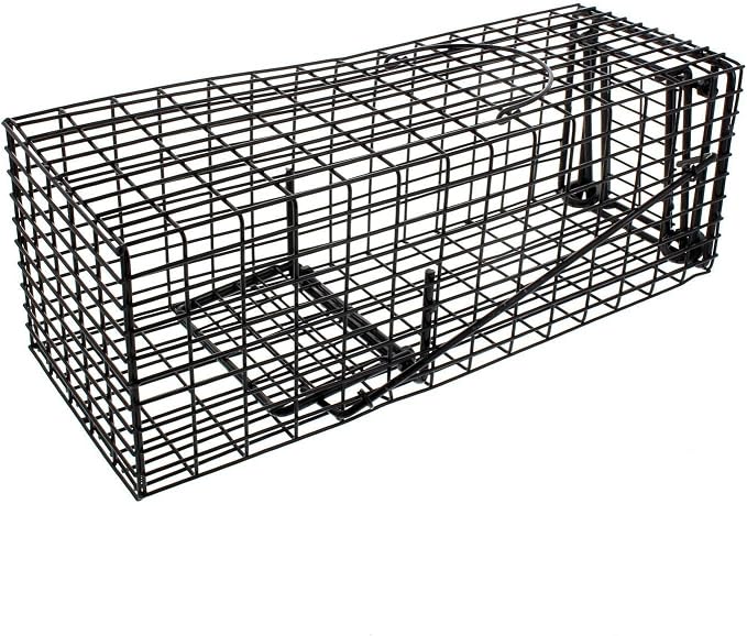 Bainbridge Small Trap