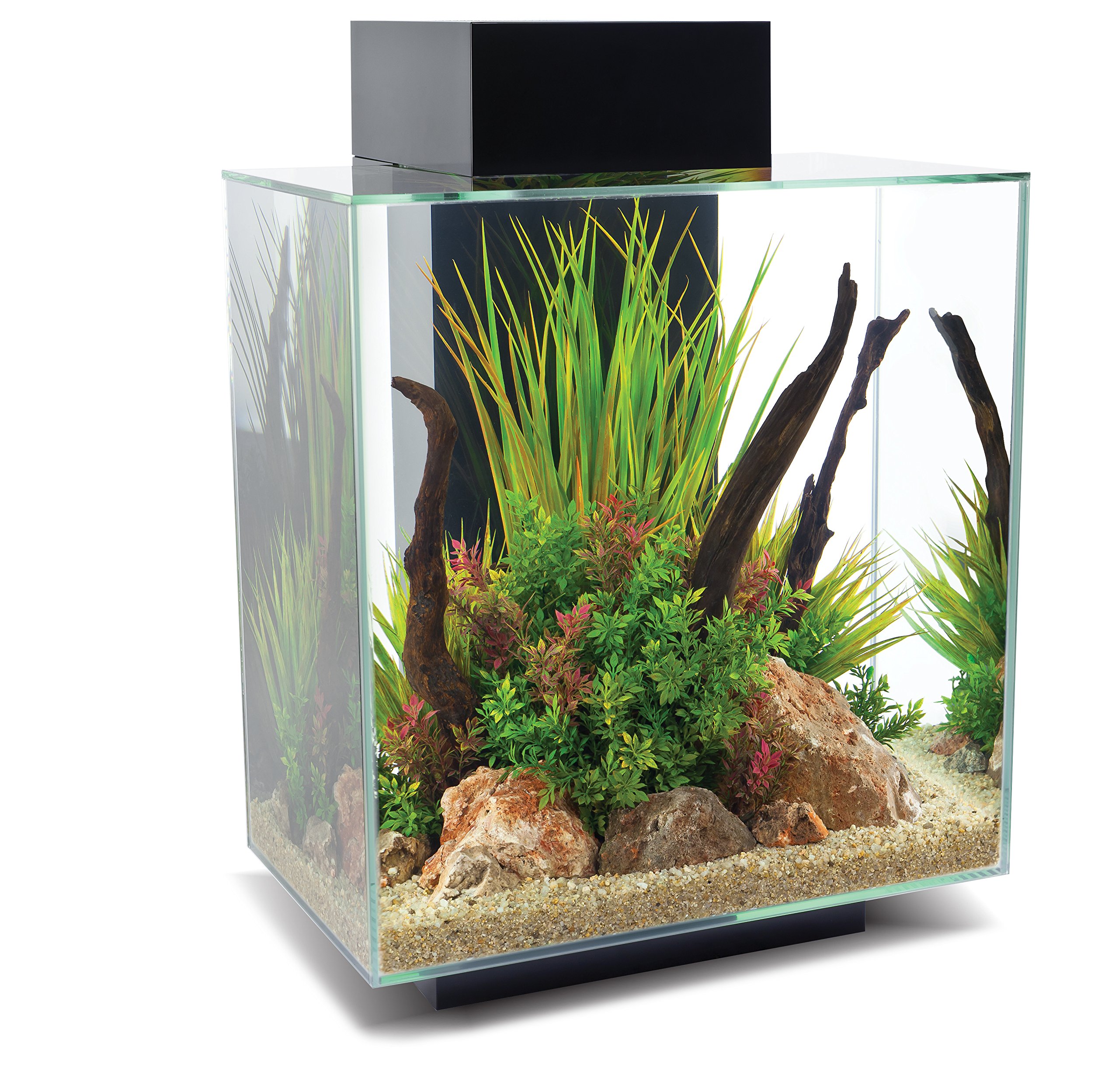 Fluval Edge 2.0 46L Black